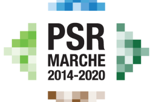 logo-PSRMarche1420