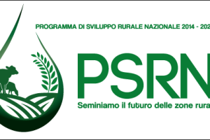 logo_PSRN_2020