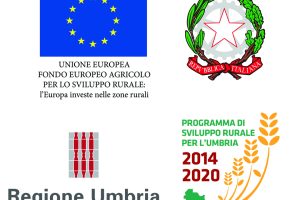 stringa FESR 2014-2020